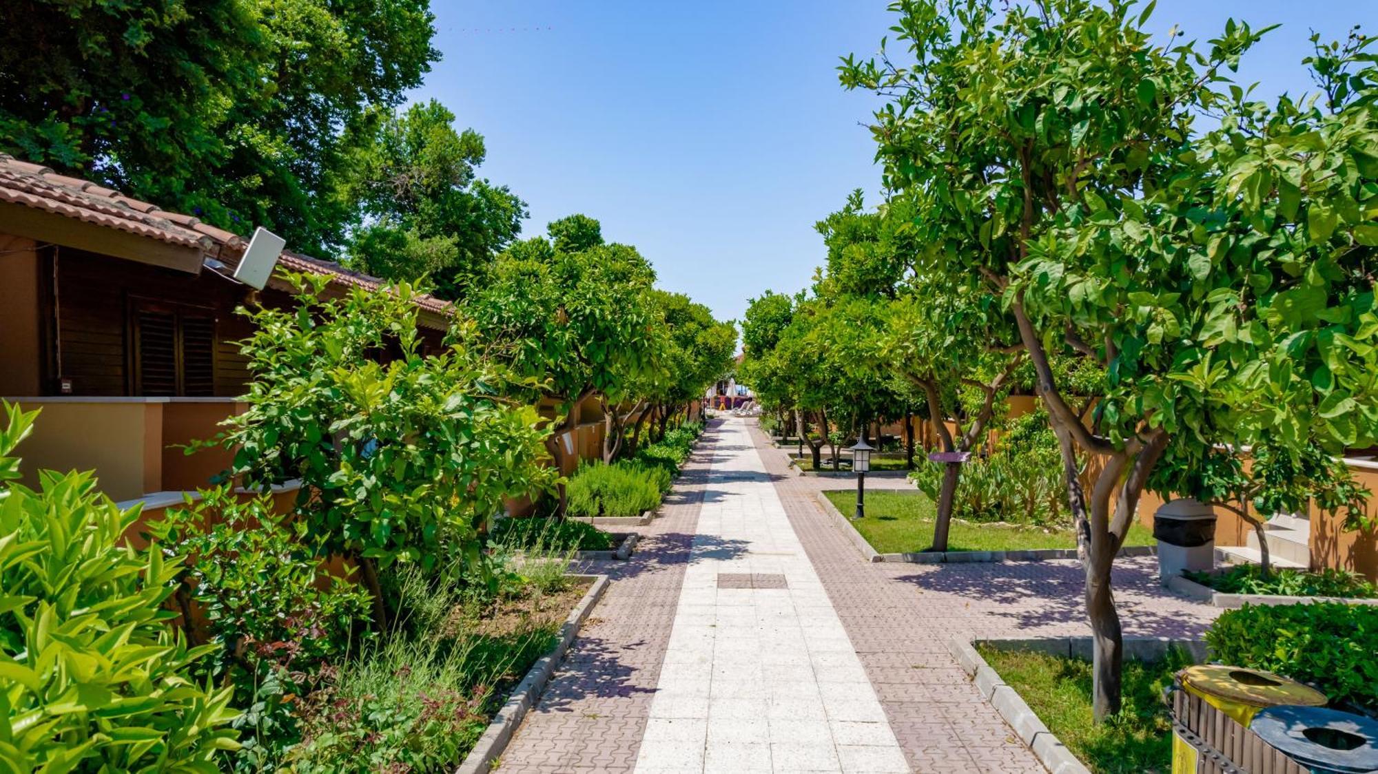 Ozlem Garden Hotel Side Exterior photo