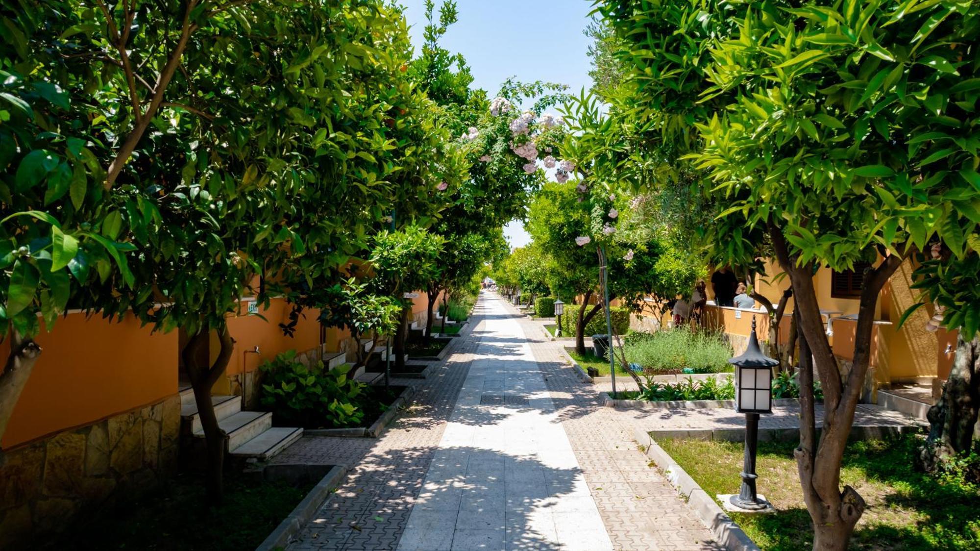 Ozlem Garden Hotel Side Exterior photo